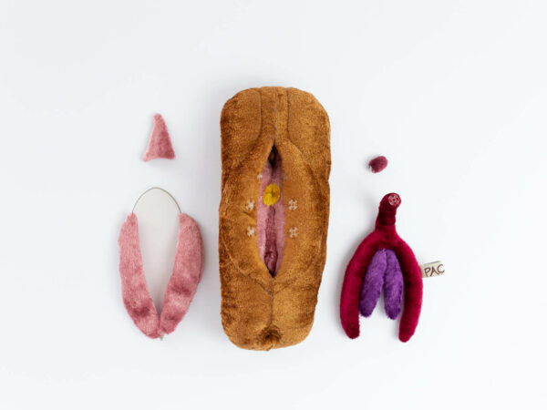 Vulva/Vagina FGM