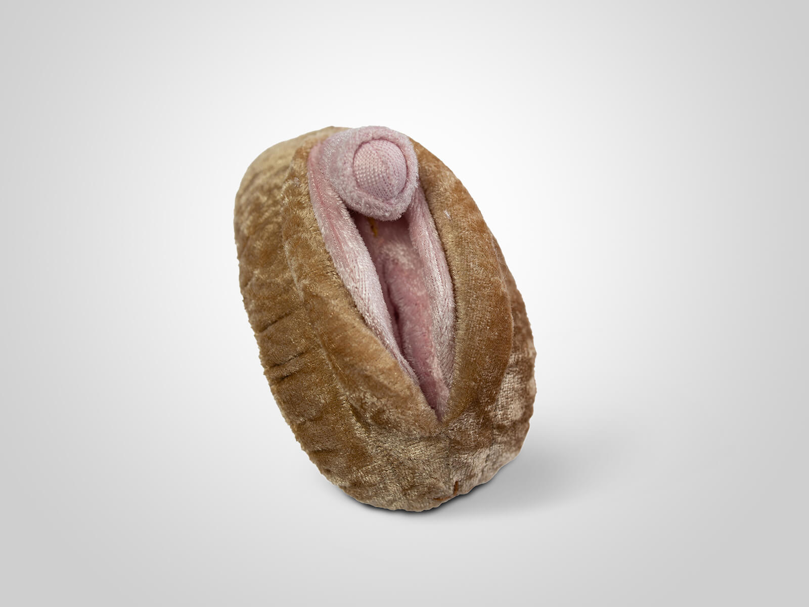 Beschnittene klitoris